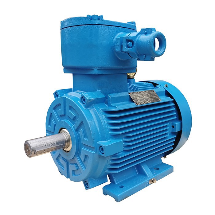 YBX4 Exp Motor